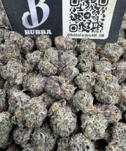 Animal Tsunami Mediums