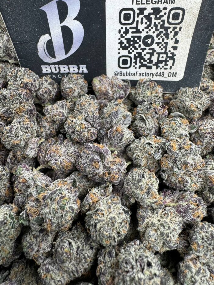 Animal Tsunami Mediums