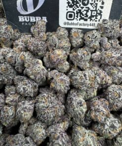 Animal Tsunami Smalls