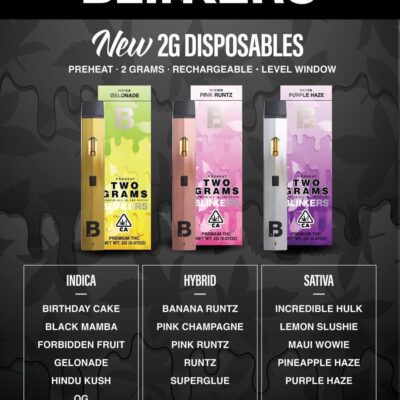 Blinker Disposables 2 Grams