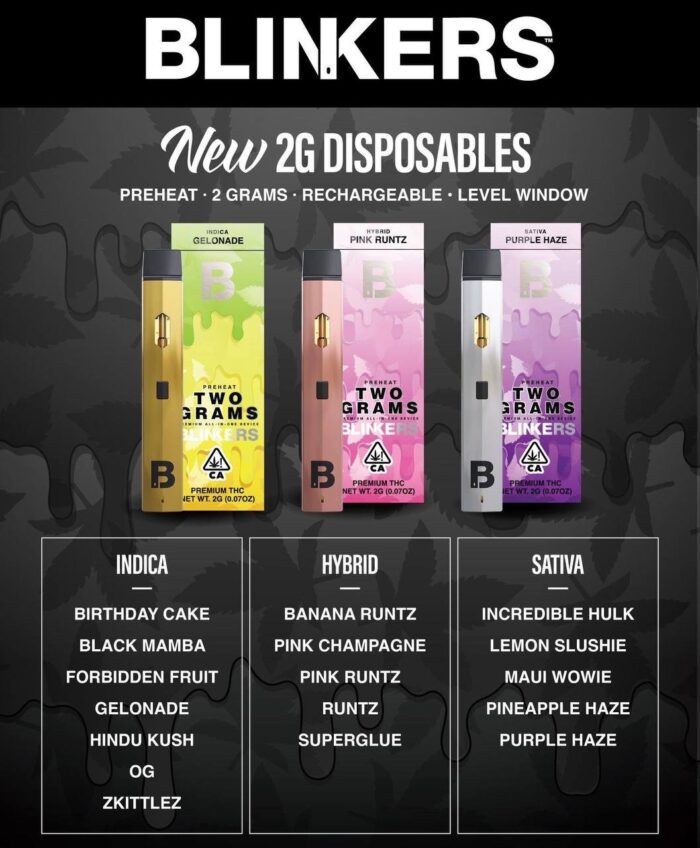 Blinker Disposables 2 Grams