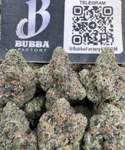 Blue Guava Gelato
