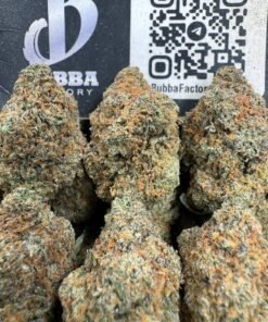 Mendo Breath