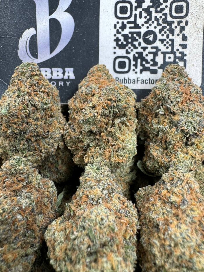 Mendo Breath
