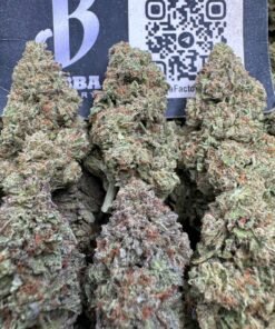 Premium Bubba