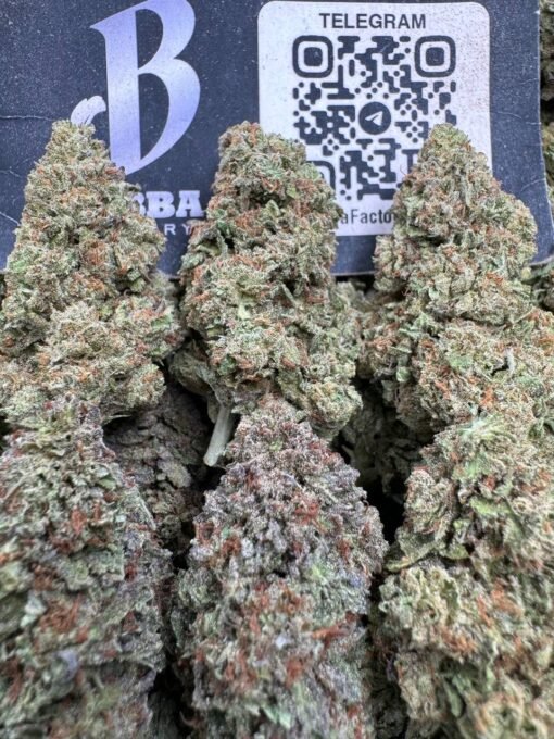 Premium Bubba Premium Bubba