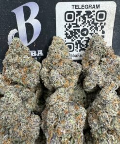 Super Gelato