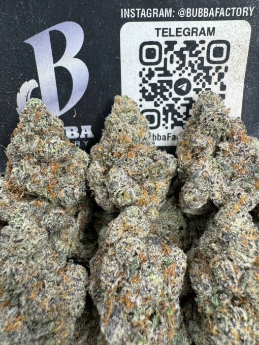 Super Gelato Super Gelato
