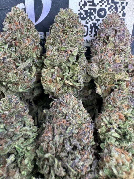 Tropicana Poison