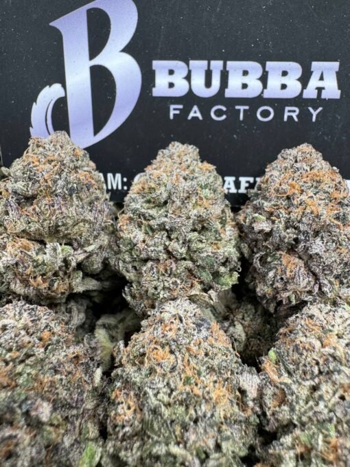 Purple Urkle 1746788233506 A0p7t IMG3022 510x680