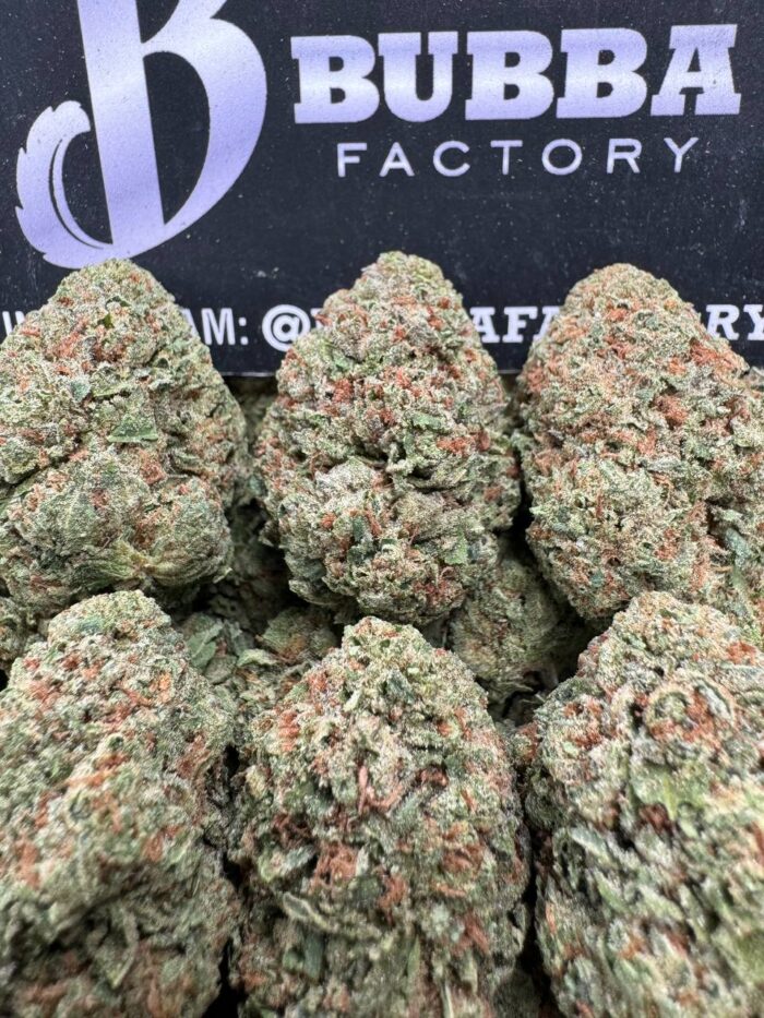 1748595747205 Ykjw5m IMG4808 700x933