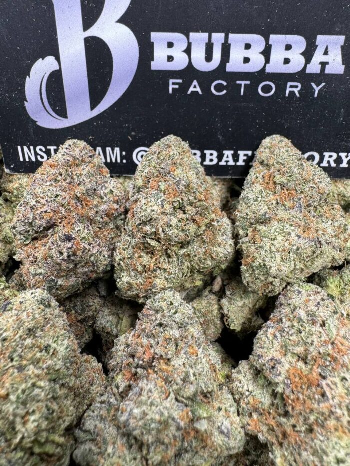 1748638529721 6d2q7l IMG4843 700x933