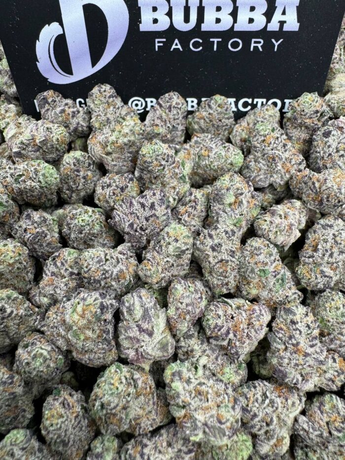 1749722863483 9mu7dv IMG6246 1 700x933