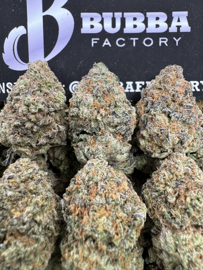 1749813390401 Lgss2a IMG6348 700x933