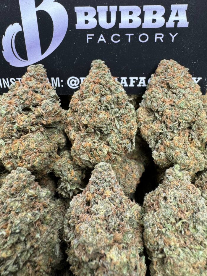 1749813939569 Y4dcrl IMG6352 700x933