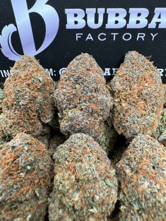 1749814172485 5q2tqa IMG6354 700x933