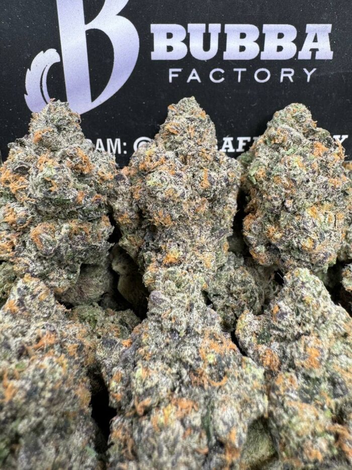 1749814346852 Ab0akg IMG6356 700x933