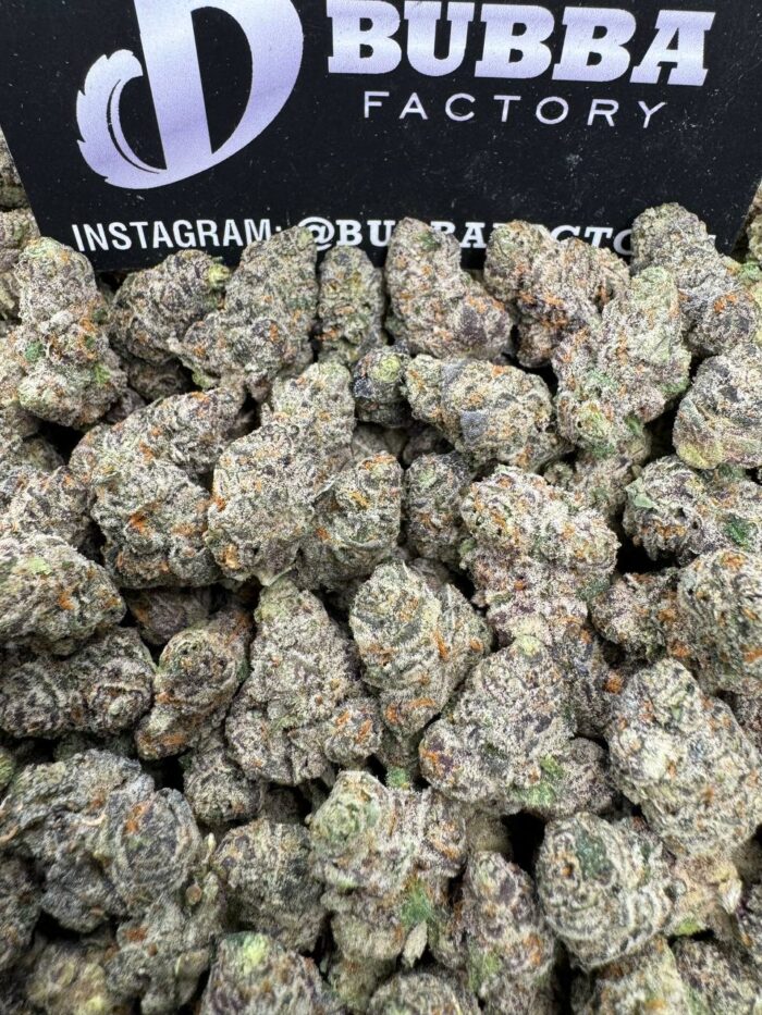 1750238158742 Xt0kmb IMG6861 700x933