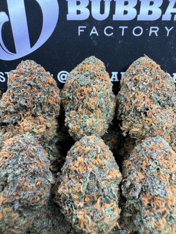 1750239049536 6m2m3d IMG6868 700x933