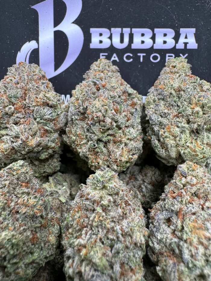 1750413936748 Lrpxu IMG7108 700x933