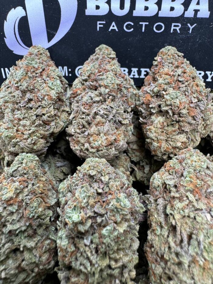 1750842526502 Xg6qys IMG7590 1 700x933