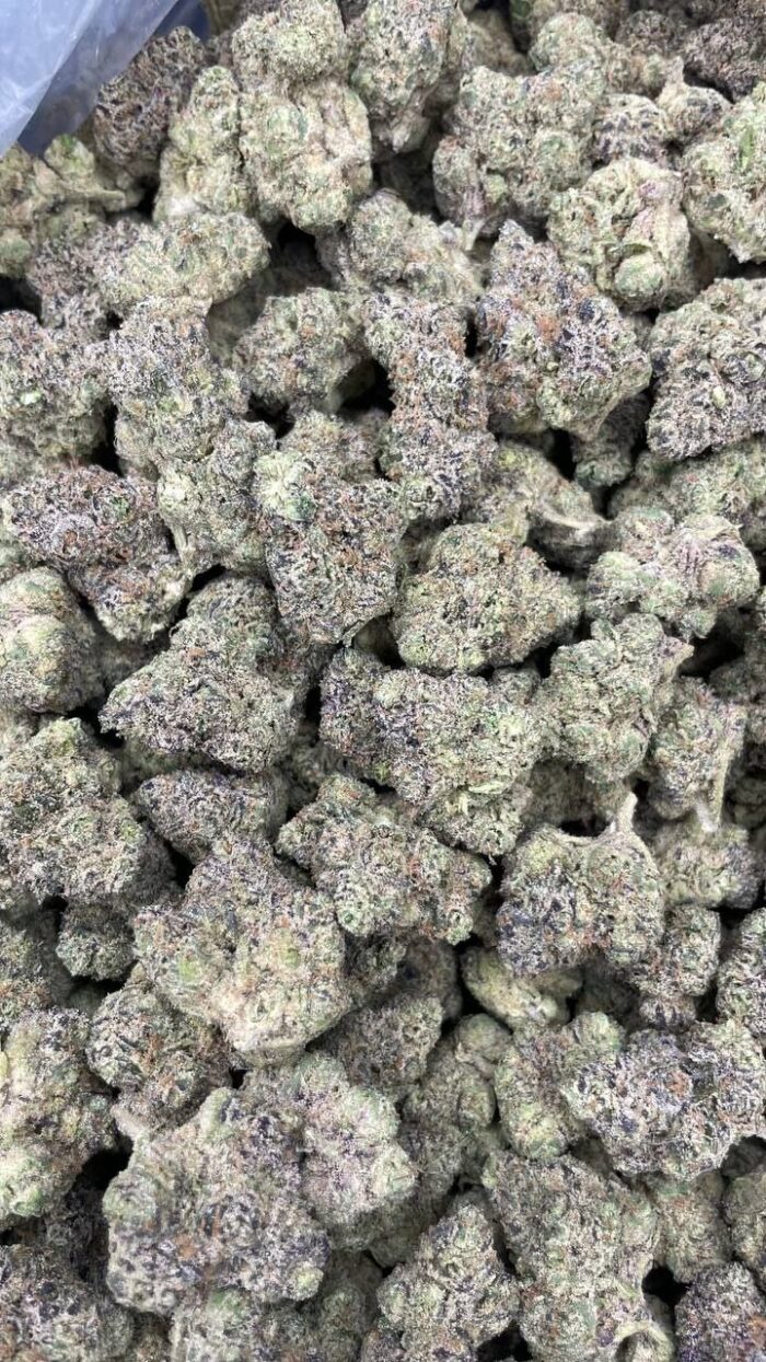 Black Mamba 5429505645251524980 121 700x1244