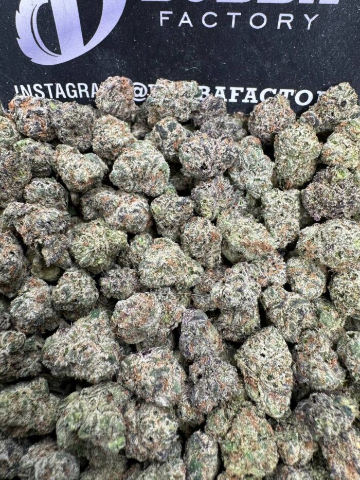 1752222033362 P39ys IMG1988 700x933