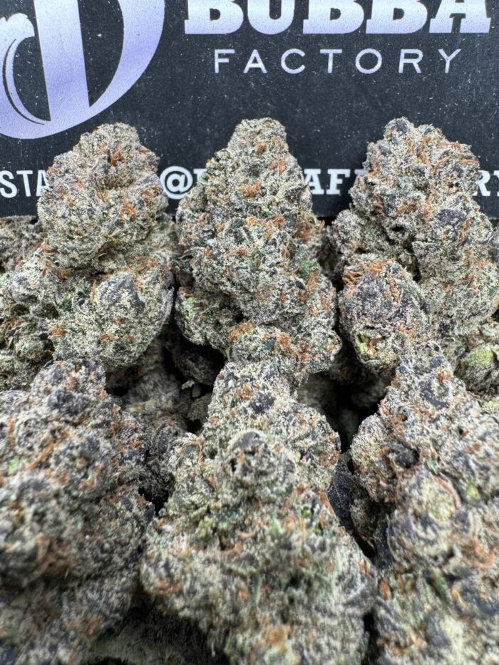 1752222445052 Ckp6tk IMG1990 700x933