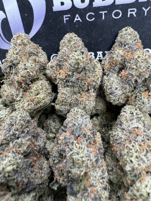 Bubble Gum Gelato 1752223035211 Mvl74o IMG1994 510x680