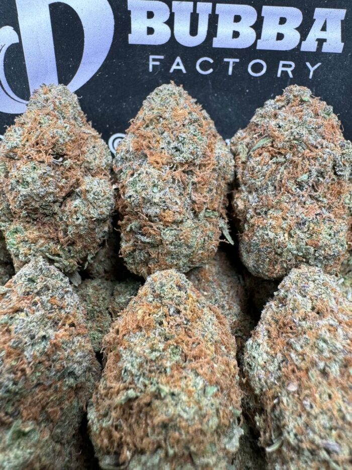 1754383134757 O538bh IMG1063 700x933