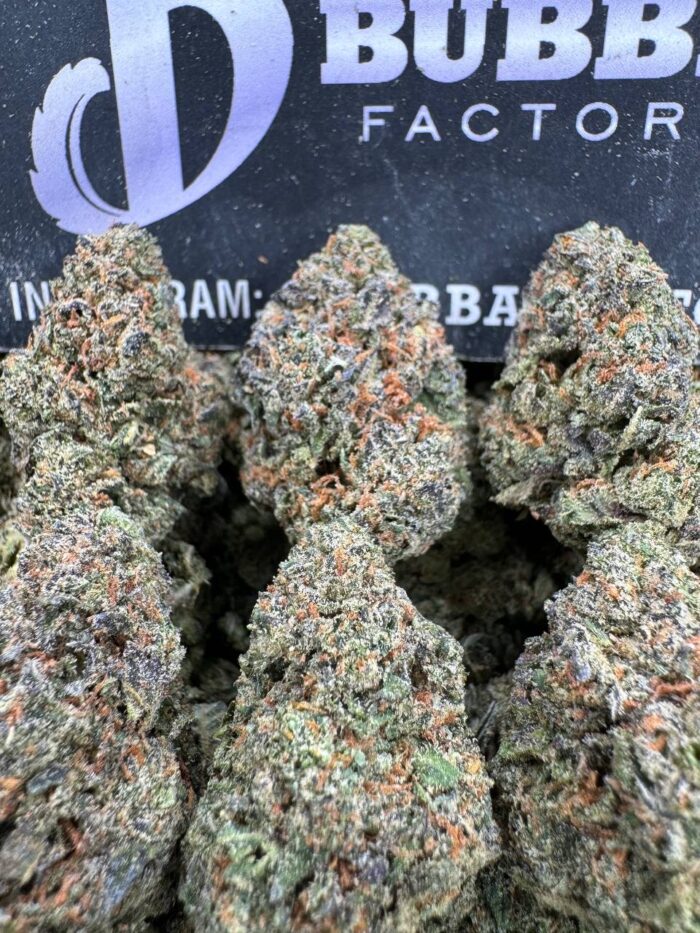 1754649707450 Vqs5a8 IMG1348 700x933