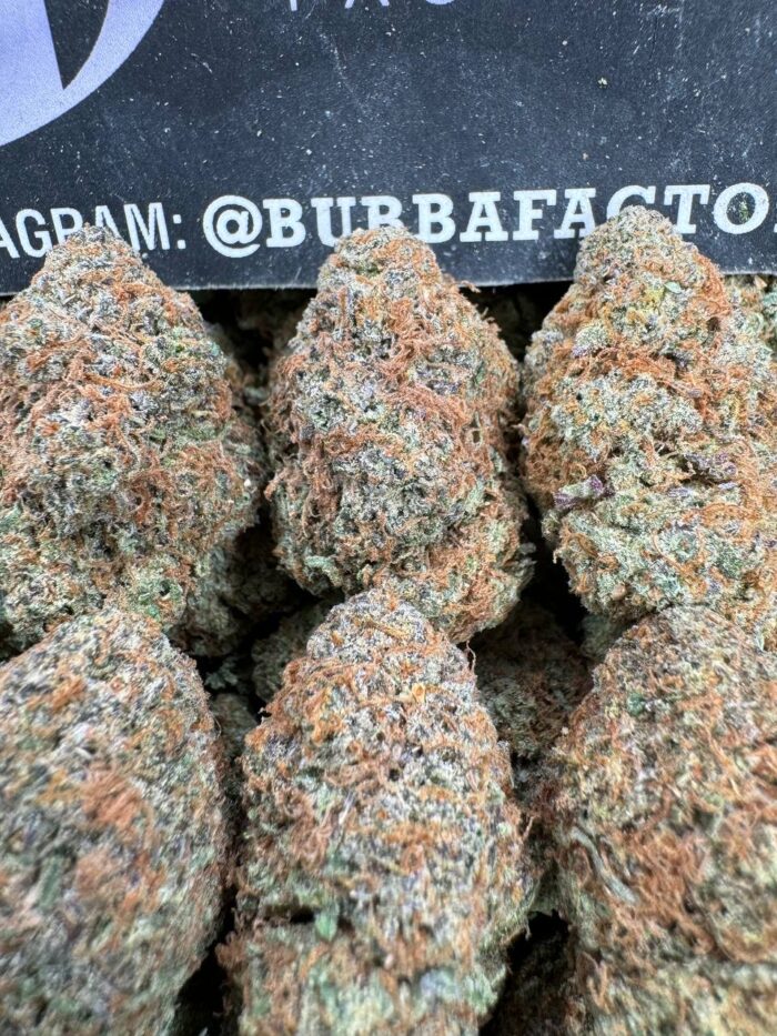 1754649834907 R573zk IMG1352 700x933