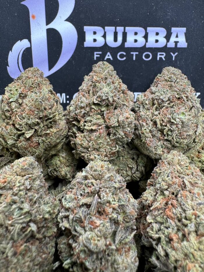 1757398748366 Okuiyn IMG3860 700x933