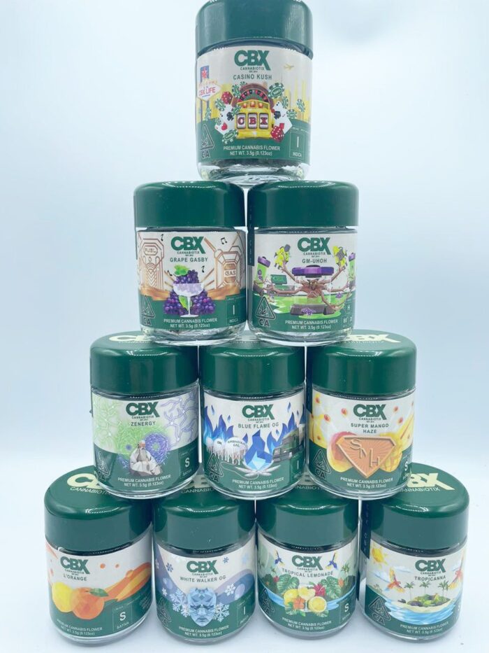 IMG 20251010 154433 153 700x933