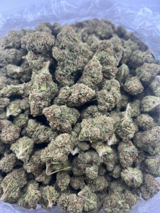 Black Cherry Gelato IMG 20251011 233506 663 510x680