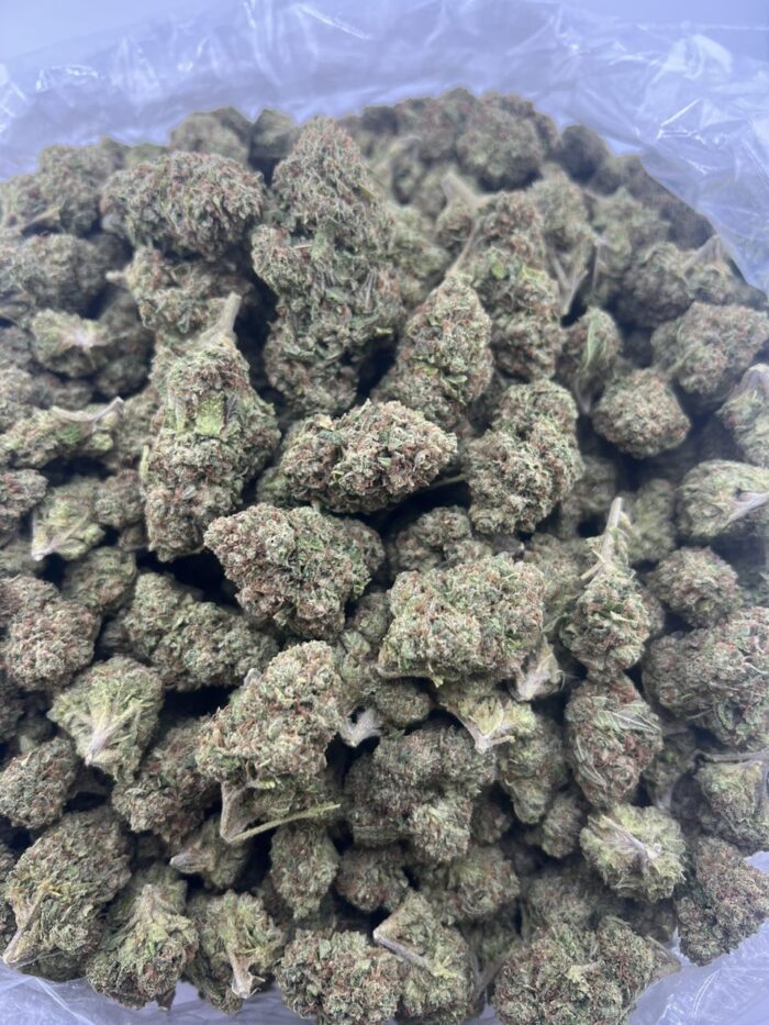 IMG 20251011 233506 663 700x933