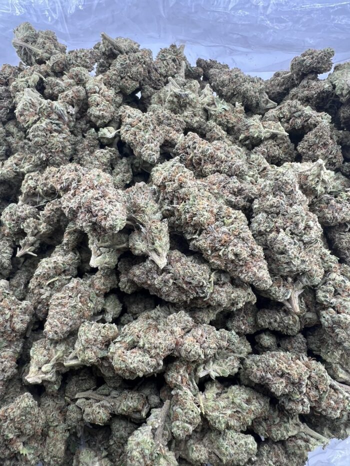 IMG 20251011 234901 956 700x933