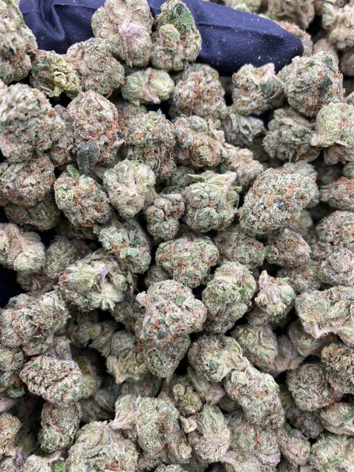 BLUE Z CANDY SMALLS IMG 20251025 173251 942 700x933