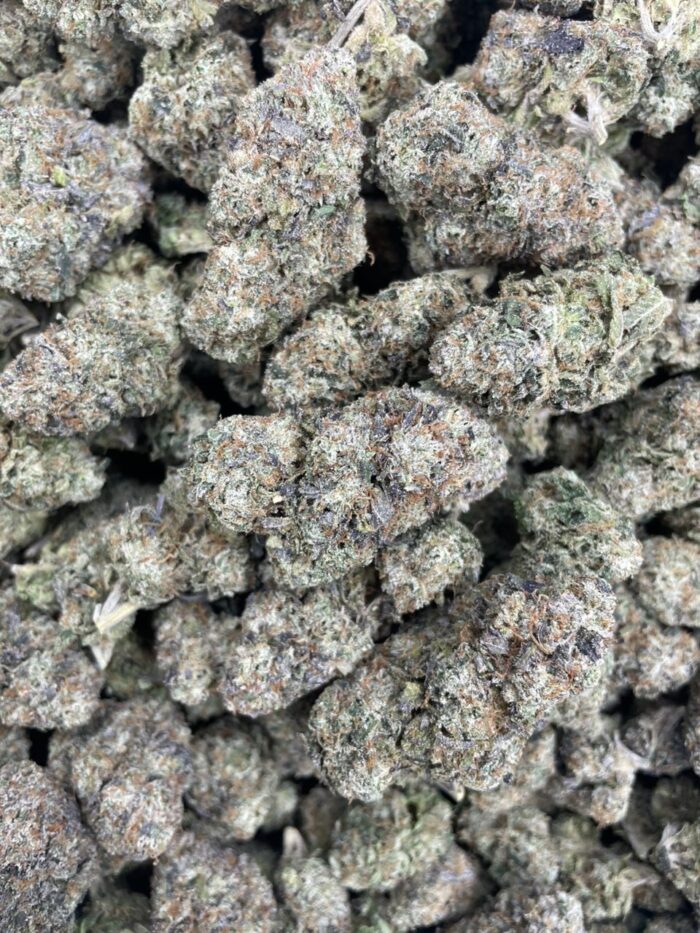 IMG 20251026 024532 402 700x933