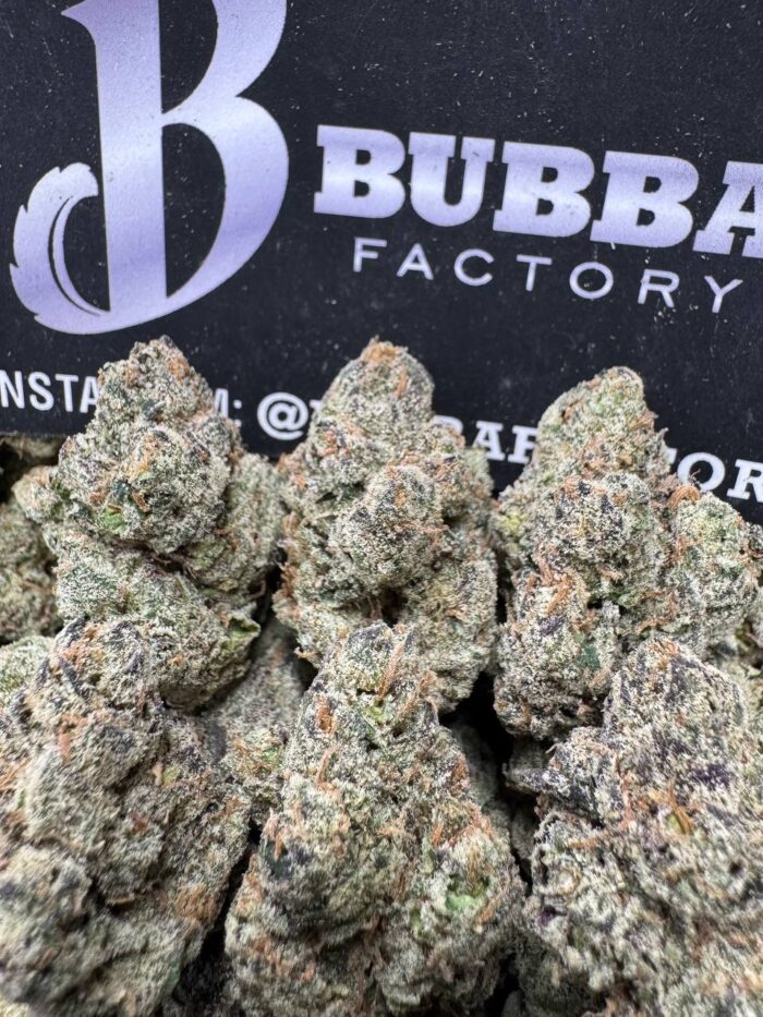 1761906225394 Bzenv IMG9489 700x933