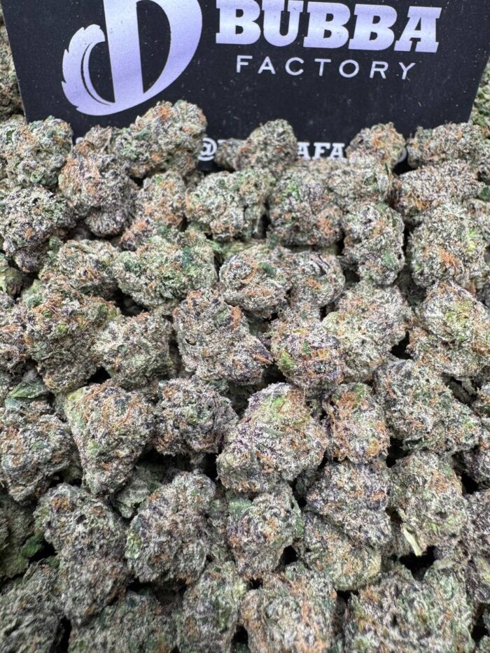 1761906387493 N4ipwlt IMG9491 700x933