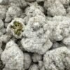Gas Z icedβ½οΈ Loud gas nose IMG 20251120 163214 204 100x100
