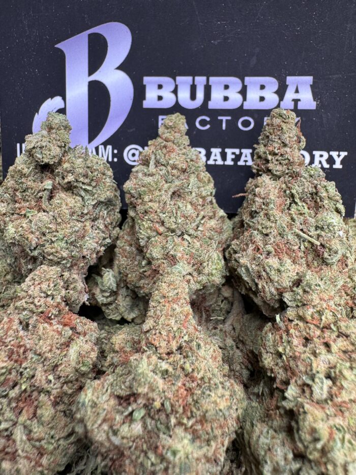 1764730522594 Vd1z2i IMG2877 700x933