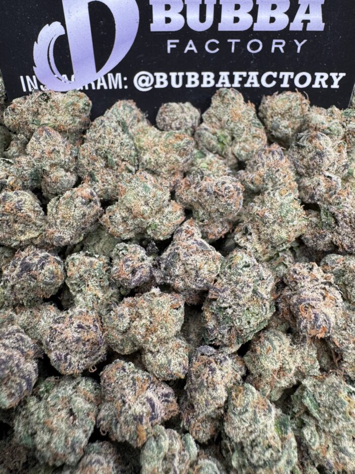 1764737566614 Gmypso IMG2915 700x933