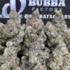 Bubblegum X 1764738574010 Nygyg IMG2921 100x100