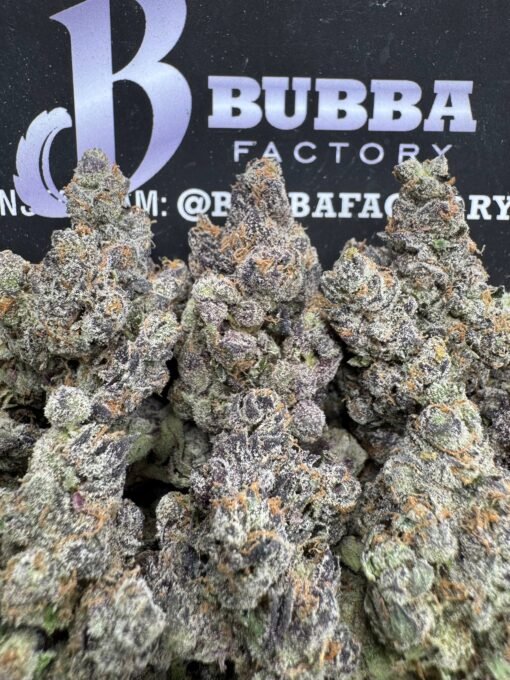 Bubblegum X 1764738574010 Nygyg IMG2921 510x680