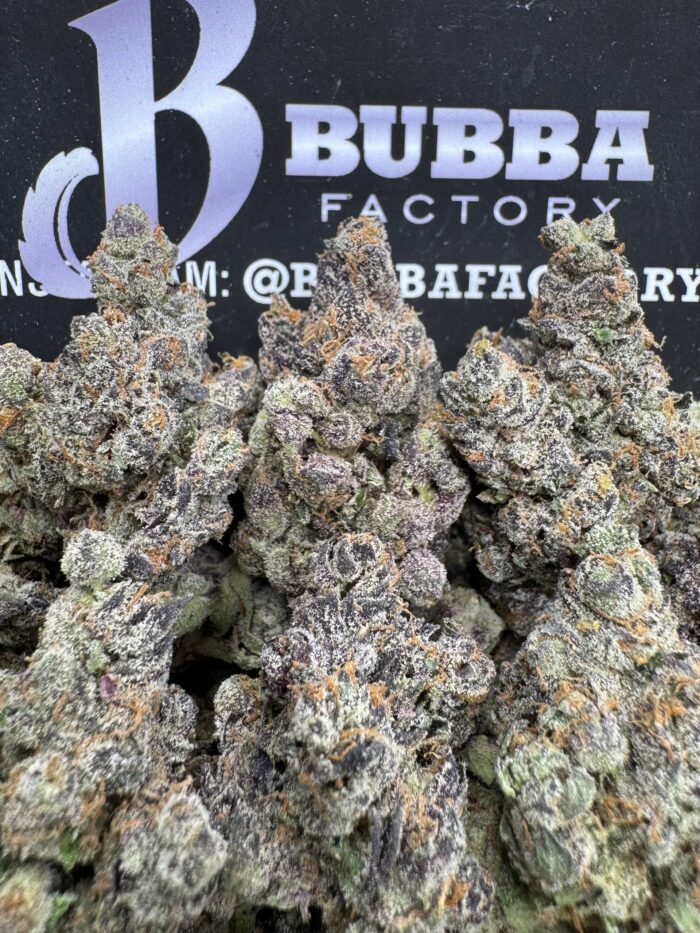 Bubblegum X 1764738574010 Nygyg IMG2921 700x933