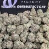 Black Cherry Gelato Smalls 1764738633429 S5qwtk IMG2923 100x100