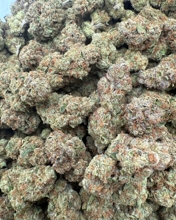 IMG 20251217 133421 498 700x872