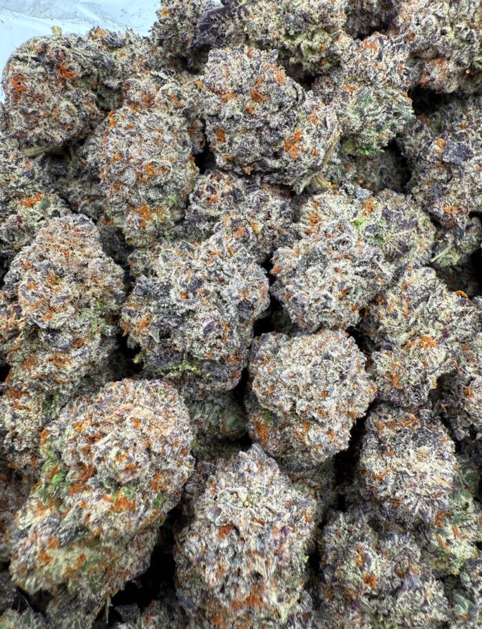 IMG 20251217 134007 292 700x914